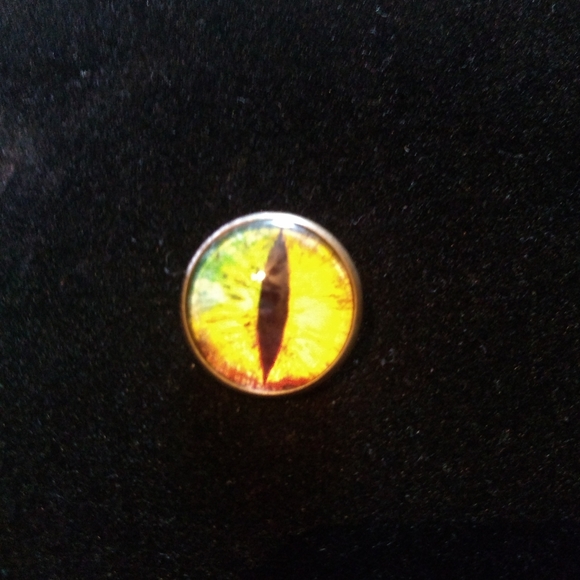 Pin - Picture 2 of 2